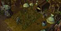 Свежие посевы (Warcraft III).