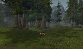 «Стая Красной Сосны»