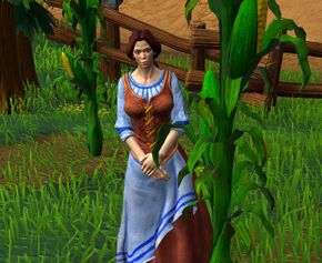 «Эми Дайан»