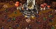 Свинобразы в деревне Каменного Молота (Warcraft III).