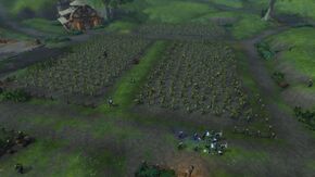 «Ферма Го'Шека»