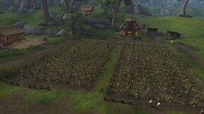 «Усадьба Дабири»