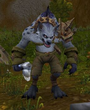 «Федфенхель»