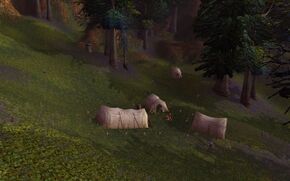 «Гнилодумы»