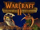 Пехотинец и рубака (Warcraft II).