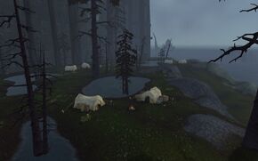 «Лагерь 7-го легиона»